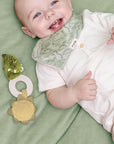Trixie Teething toy - Mr. Dino (Min. of 2 PK, multiples of 2 PK)