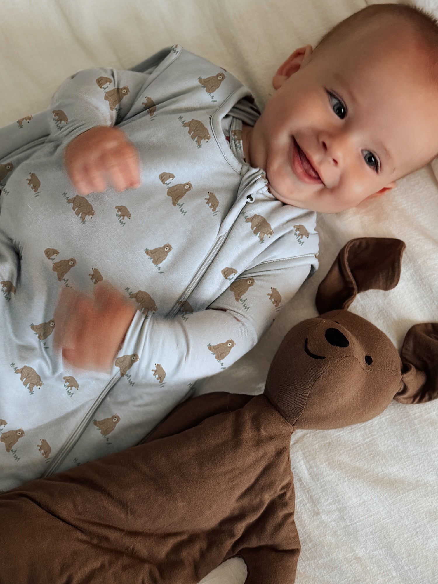 günamüna Sleep Sack Duvet Bamboo Teddies 2.5 TOG (Min. of 2, multiples of 2)