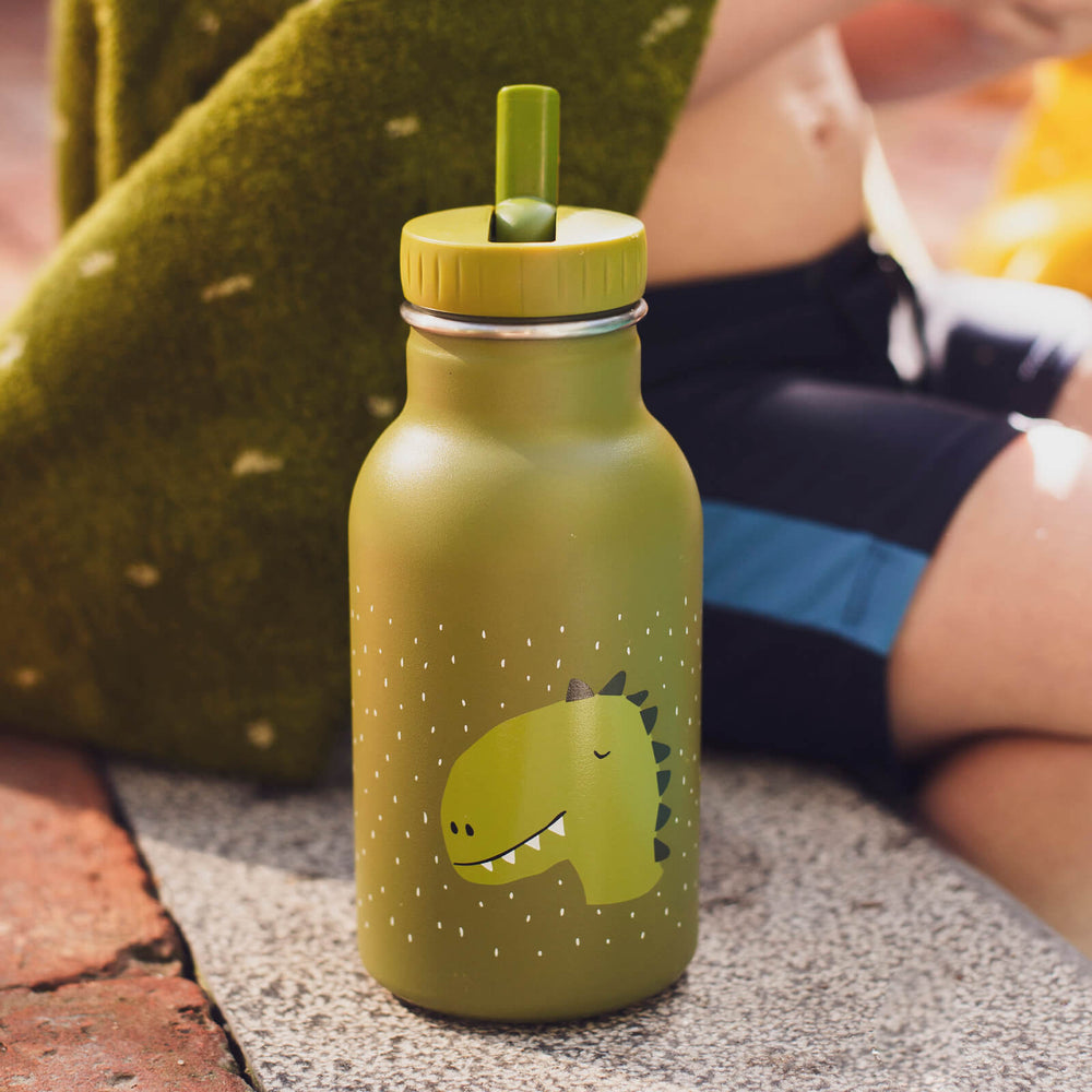Trixie Insulated drinking bottle 350ml - Mr. Dino (Min. of 2 PK, multiples of 2 PK)