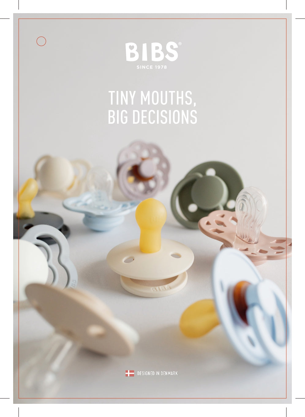 BIBS Pacifier Hang Tag - French