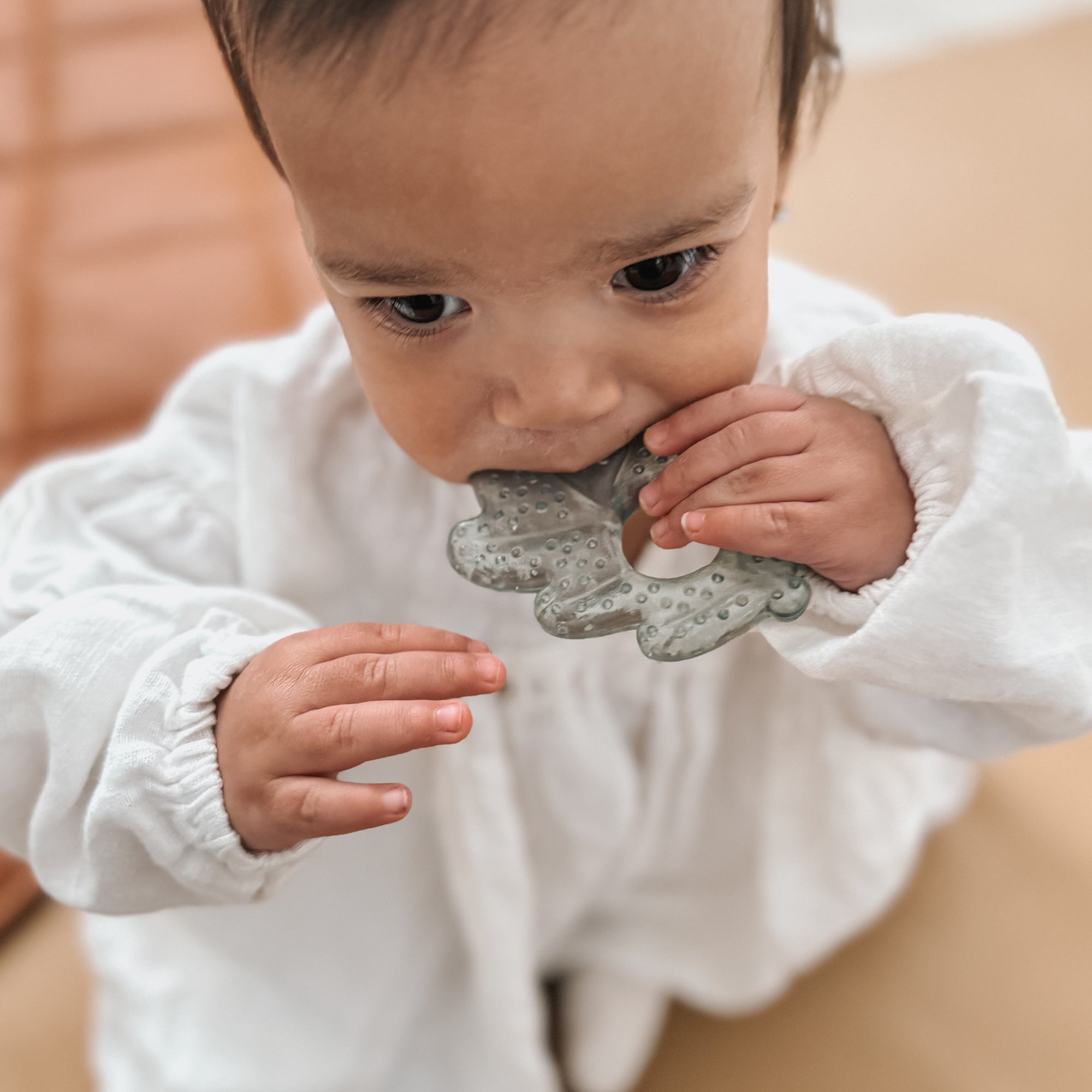 noüka Cooling Nature Teether - Earth (Sold in Case of 2, Qty of 1=2 products)