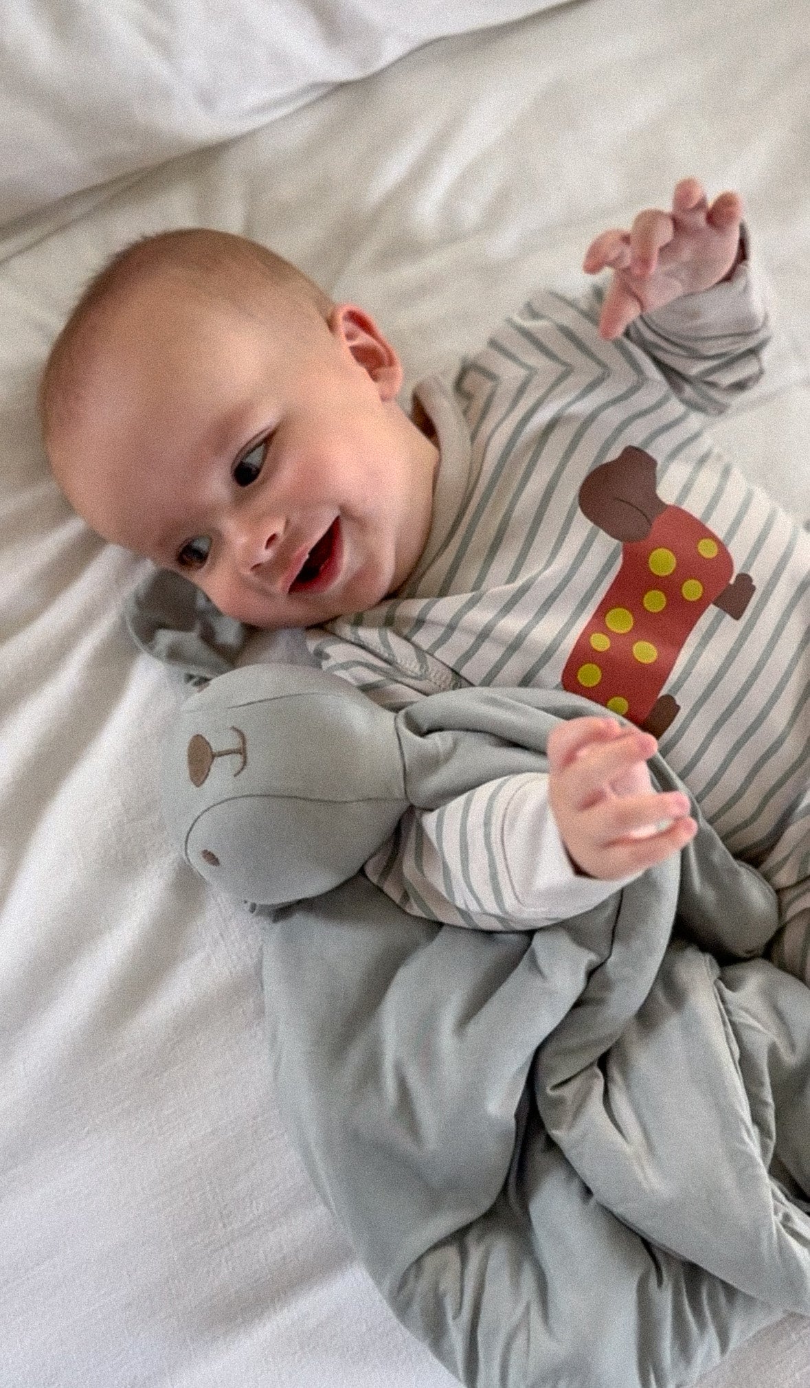 günamüna Fleece Jumpsuit Pawfect (Min. of 2, multiples of 2)