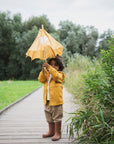 Trixie Umbrella - Mr. Lion (Min. of 2 PK, multiples of 2 PK)