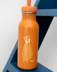 Trixie Bottle 500ml - Mr. Fox (Min. of 2 PK, multiples of 2 PK)