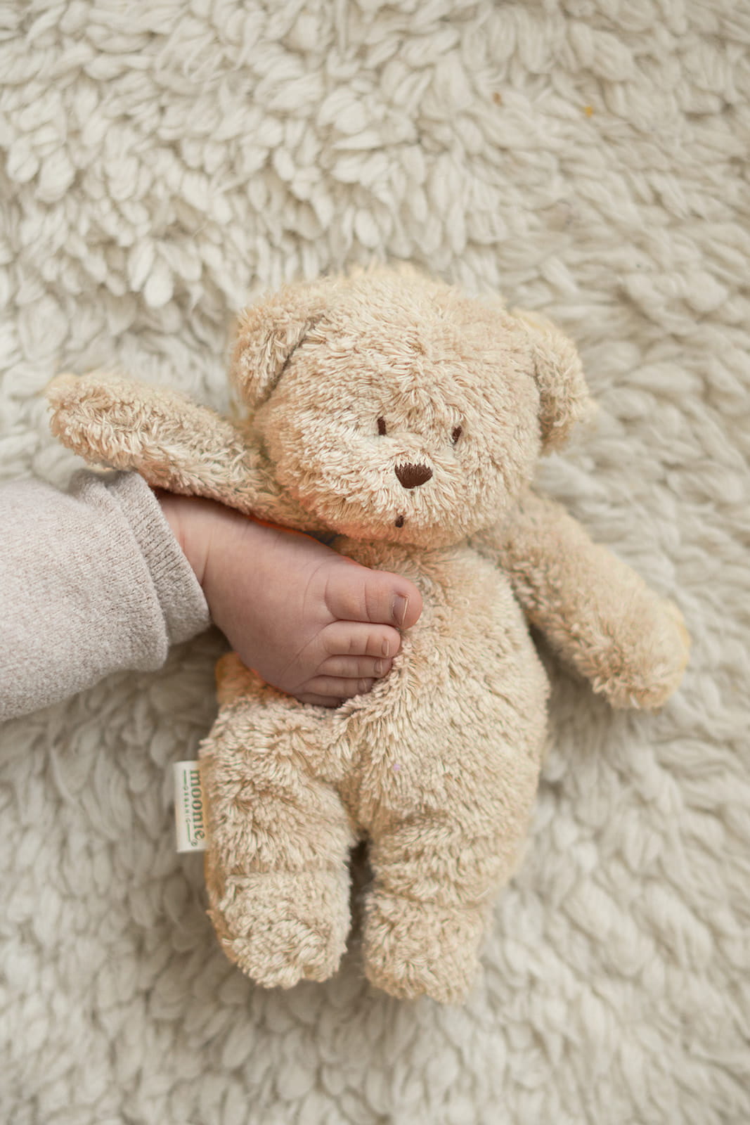 Moonie Sensory Little Teddy - Cappuccino (Min. of 2 PK, multiples of 2 PK)