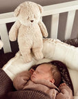Moonie Sensory Little Teddy - Cappuccino (Min. of 2 PK, multiples of 2 PK)