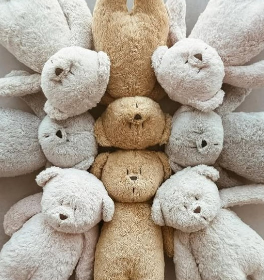 Moonie Sensory Little Teddy - Cappuccino (Min. of 2 PK, multiples of 2 PK)