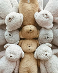 Moonie Sensory Little Teddy - Cappuccino (Min. of 2 PK, multiples of 2 PK)