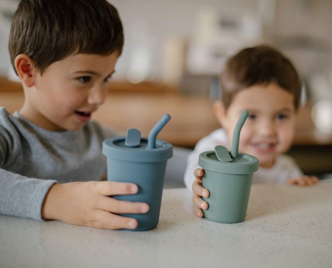 noüka Straw Cup 8 OZ 2 Pack - Fern/Light Storm (Min. of 2 PK, Multiples of 2 PK)