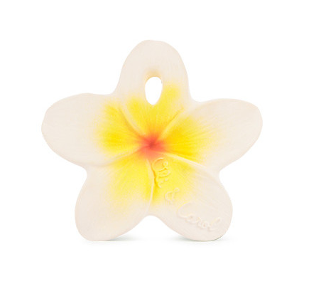 Oli & Carol Hawaii the Flower (Min. of 2 PK, multiples of 2 PK)