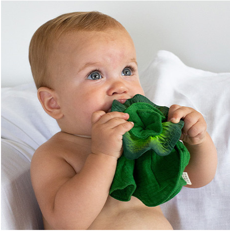 Oli & Carol Mini Doudou Teether - The Kale (Min. of 2 PK, multiples of 2 PK)