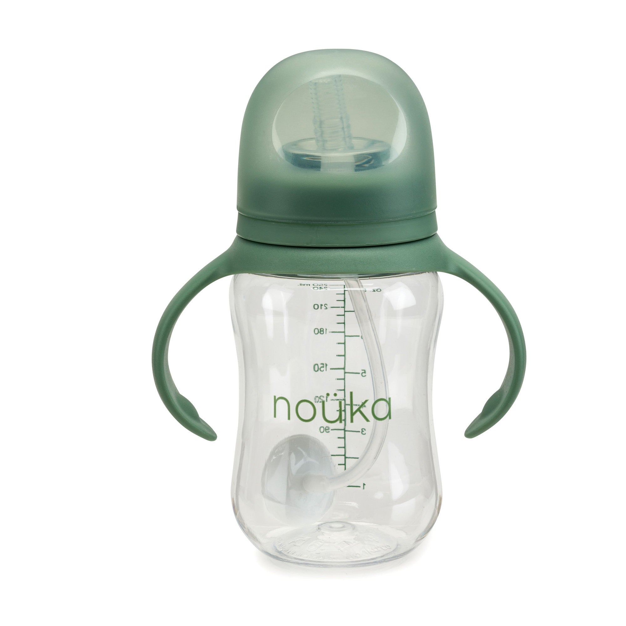 noüka Transitional Sippy/Weighted Straw Cup - Fern (Min. of 2 PK, Multiples of 2 PK)