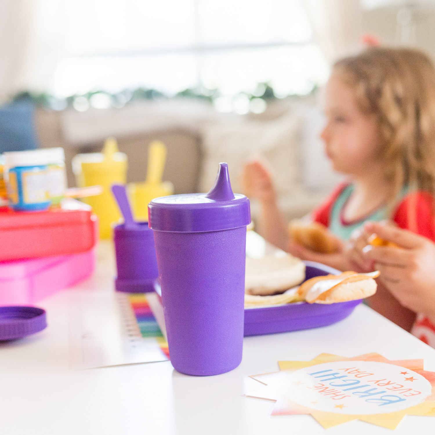 Re-Play No Spill Sippy Cup Assembled - Amethyst (Min. of 2 PK, Multiples of 2 PK)