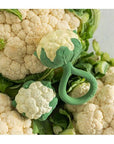 Oli & Carol Cauliflower Rattle Toy (Min. of 2 PK, multiples of 2 PK) - MAIGHAN DISTRIBUTION CANADA