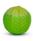 Oli & Carol Green Cabbage Baby Ball (Min. of 2 PK, multiples of 2 PK) - MAIGHAN DISTRIBUTION CANADA