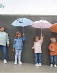 Trixie Umbrella - Mr. Fox (Min. of 2 PK, multiples of 2 PK)