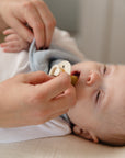 BIBS Try-It Collection Sage 3 Pack (Min. of 2 PK, multiples of 2 PK)