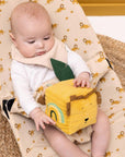 Trixie Activity cube - Mr. Lion (Min. of 2 PK, multiples of 2 PK)