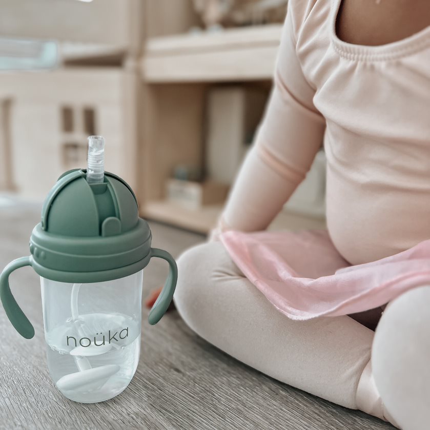 noüka Weighted Straw Replacement and Cleaning Brush for Weighted Straw Cup 9 oz (Min. of 4 PK, Multiples of 4 PK)