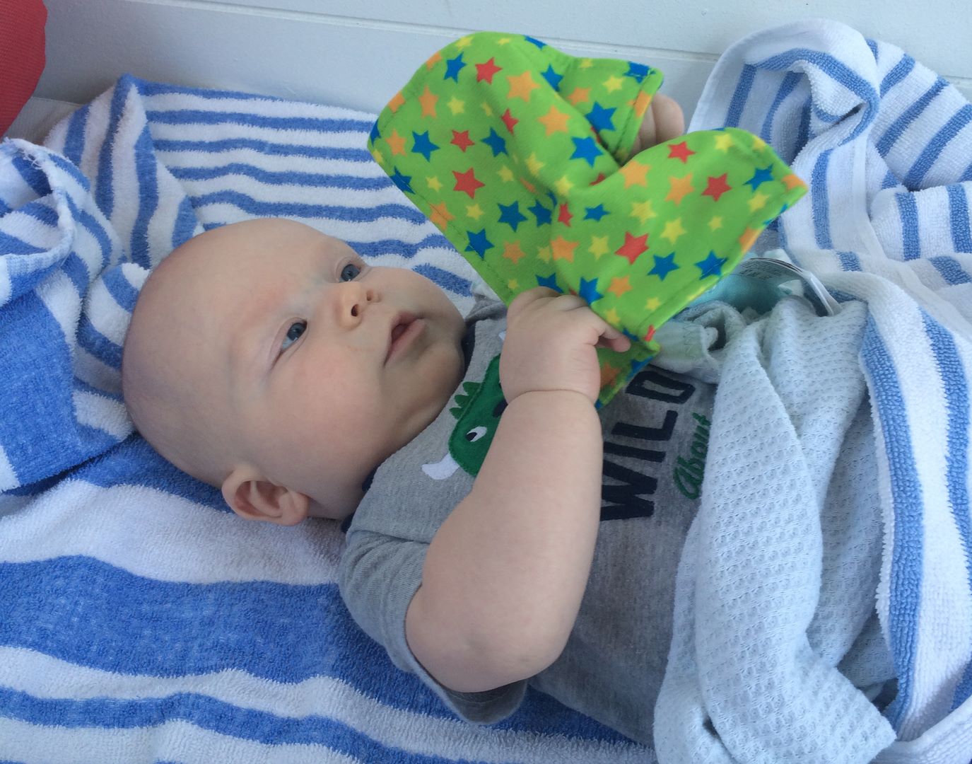 Cheeta Baby Paper (Min. of 6, multiples of 6)