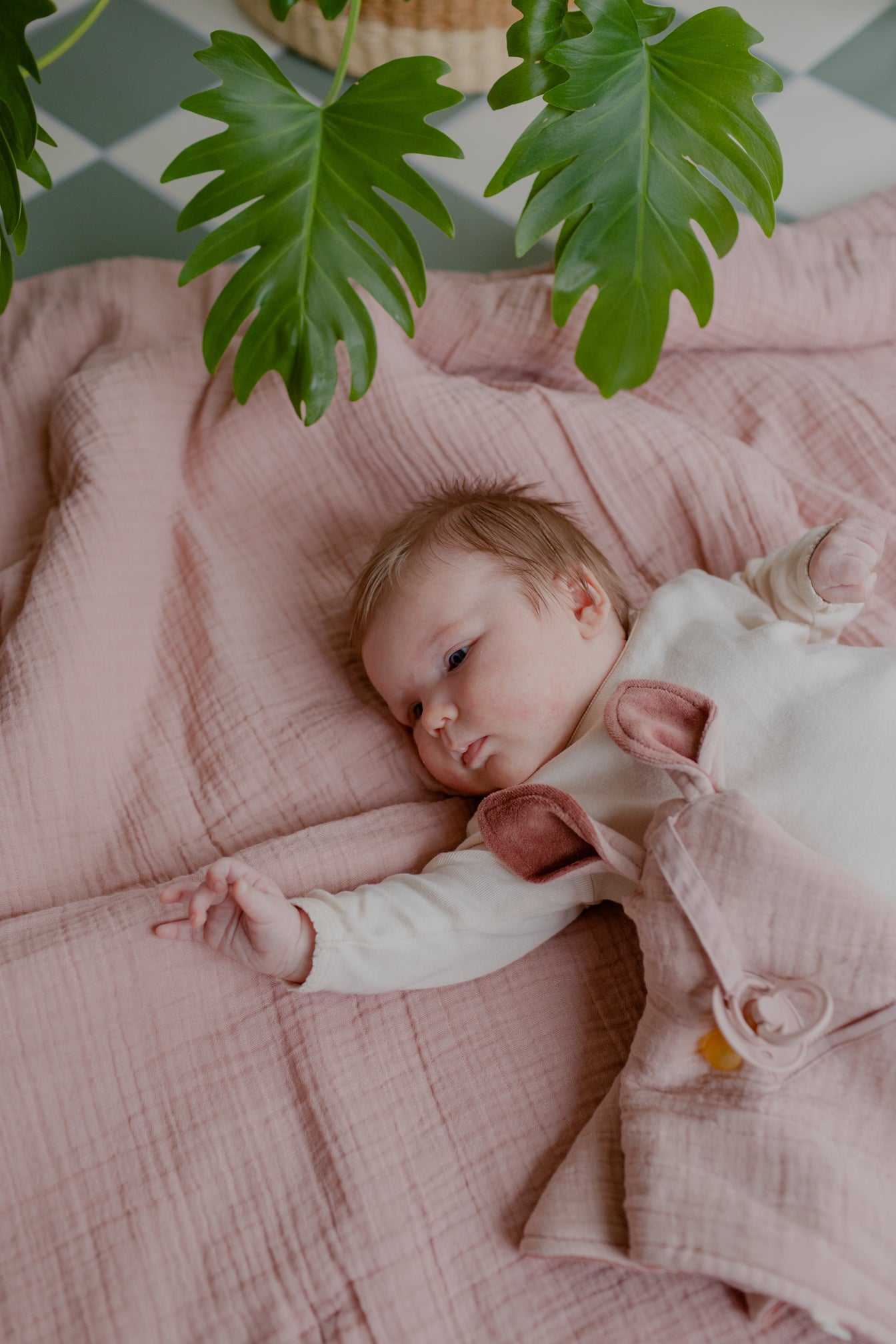 BIBS Cuddle Cloth Kangaroo Sage (Min. of 2 PK, multiples of 2 PK)