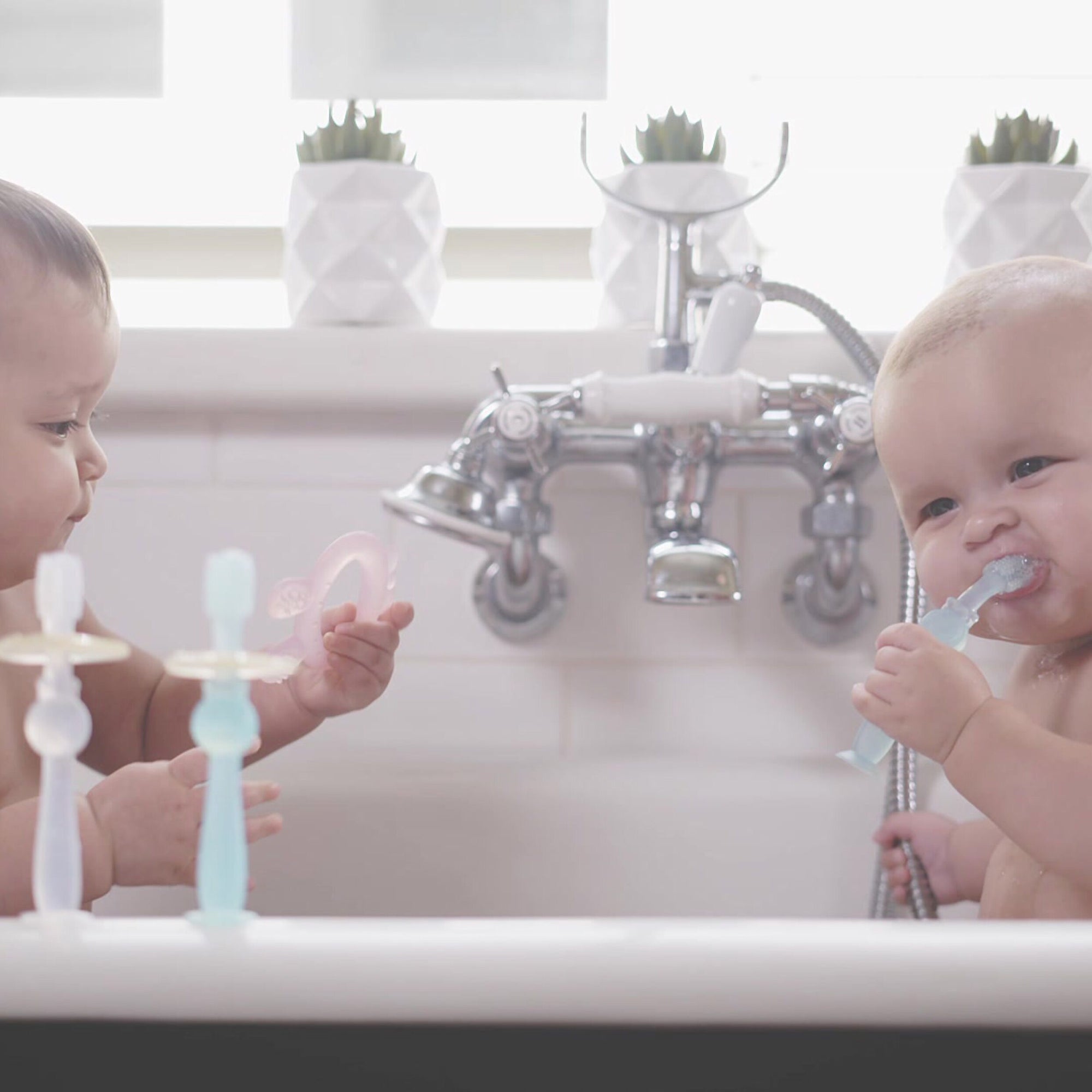 Haakaa 360 Baby Silicone Tooth Brush (Min. of 6 multiples of 6)