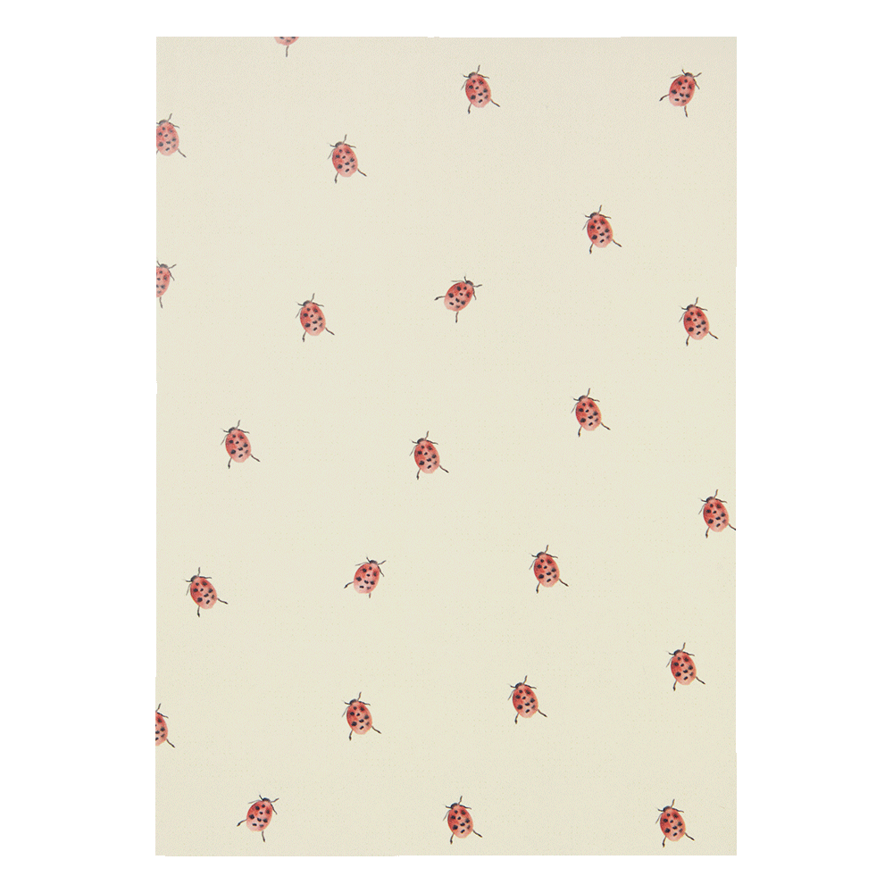 Specialday - Box with 30 Greeting Cards