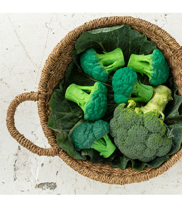 Oli & Carol Brucy the Broccoli (Min. of 2 PK, multiples of 2 PK)