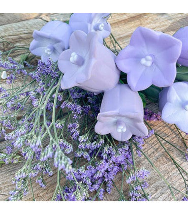 Oli & Carol Cindy the Bellflower (Min. of 2 PK, multiples of 2 PK)