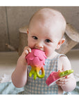 Oli & Carol Fucsia The Dragonfruit (Min. of 2 PK, multiples of 2 PK)