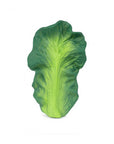 Oli & Carol Kendall the Kale (Min. of 2 PK, multiples of 2 PK)