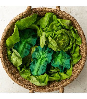 Oli & Carol Kendall the Kale (Min. of 2 PK, multiples of 2 PK)