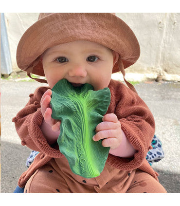 Oli & Carol Kendall the Kale (Min. of 2 PK, multiples of 2 PK)