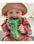 Oli & Carol Kendall the Kale (Min. of 2 PK, multiples of 2 PK)