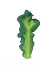 Oli & Carol Kendall the Kale (Min. of 2 PK, multiples of 2 PK)