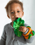 Oli & Carol Kendall the Kale (Min. of 2 PK, multiples of 2 PK)
