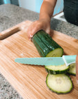 Kiddikutter Child Safe Knife Sea Green (Min. of 2 PK, multiples of 2 PK) - MAIGHAN DISTRIBUTION CANADA