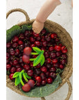 Oli & Carol Mery the Cherry (Min. of 2 PK, multiples of 2 PK)