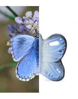 Oli & Carol Blues the Butterfly (Min. of 2 PK, multiples of 2 PK) - MAIGHAN DISTRIBUTION CANADA