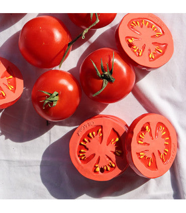 Oli & Carol Renato The Tomato (Min. of 2 PK, multiples of 2 PK)