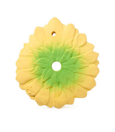Oli & Carol Sun the Sunflower (Min. of 2 PK, multiples of 2 PK)
