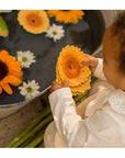 Oli & Carol Sun the Sunflower (Min. of 2 PK, multiples of 2 PK)