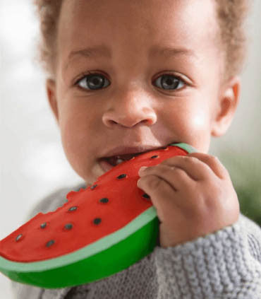 Oli & Carol Wally the Watermelon (Min. of 2 PK, multiples of 2 PK)