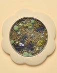 öoci Hide & Peek – Ecru Bag of Bugs (Min. of 2 PK, multiples of 2 PK), view 3