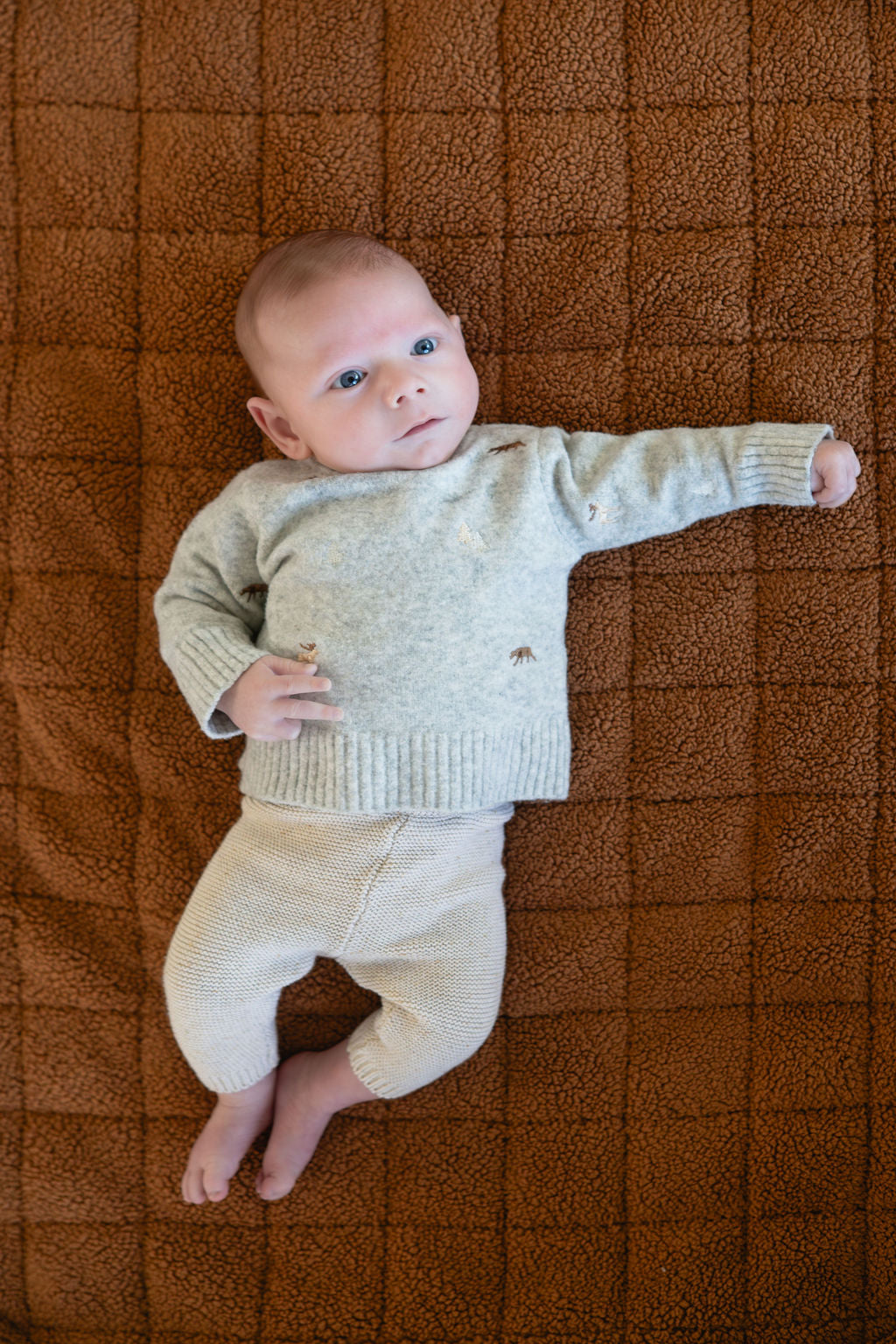 Play&amp;Go Brown Teddy noomad Soft Organic Babymat (Min of 1, multiples of 1)