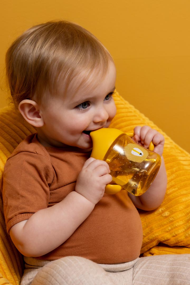 Sippy cup with handles - Mr. Lion (Min. of 2 PK, multiples of 2 PK)