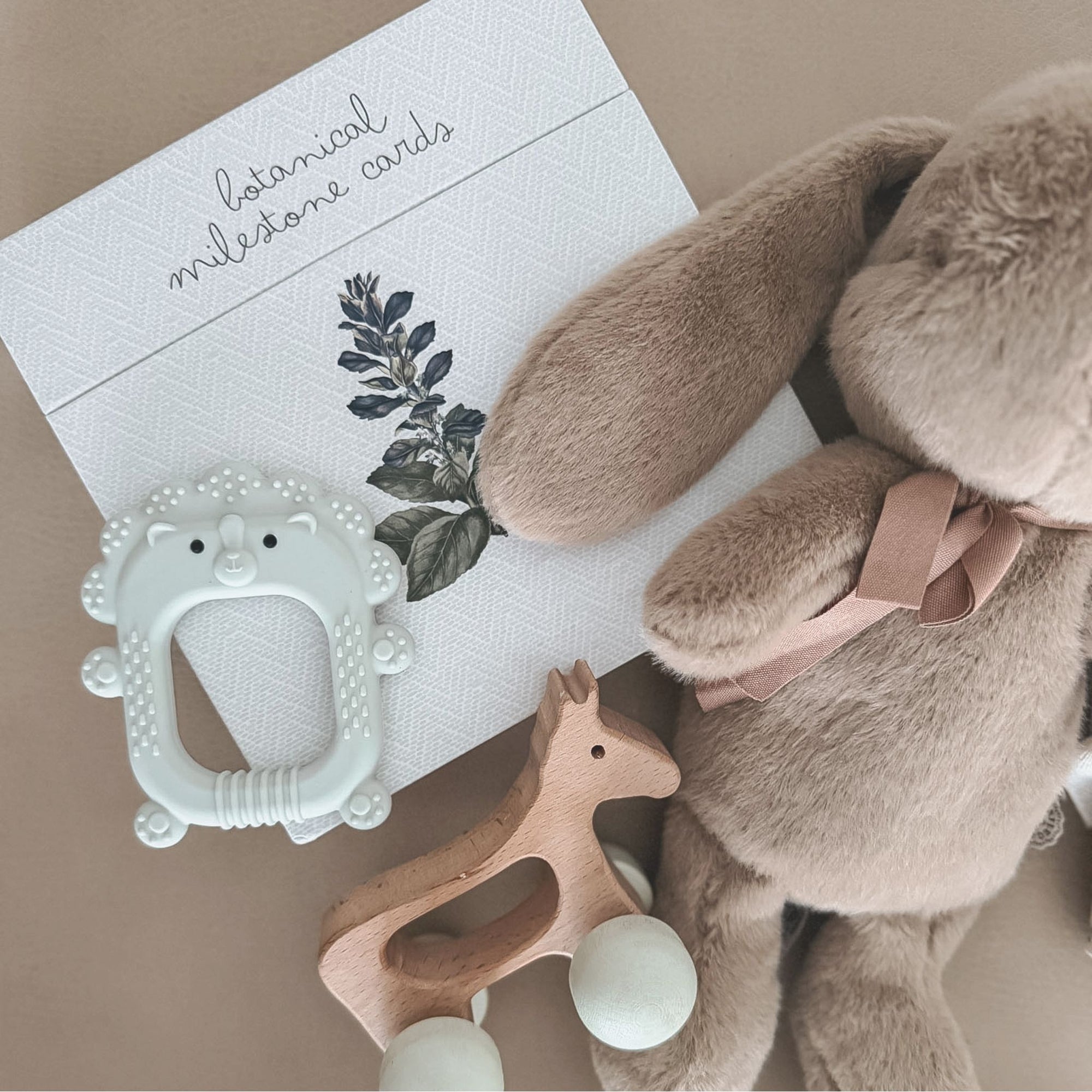 noüka Silicone Teether Toy - Roary the Lion (Sold in Case of 2, Qty of 1=2 products)