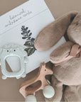 noüka Silicone Teether Toy - Roary the Lion (Sold in Case of 2, Qty of 1=2 products)