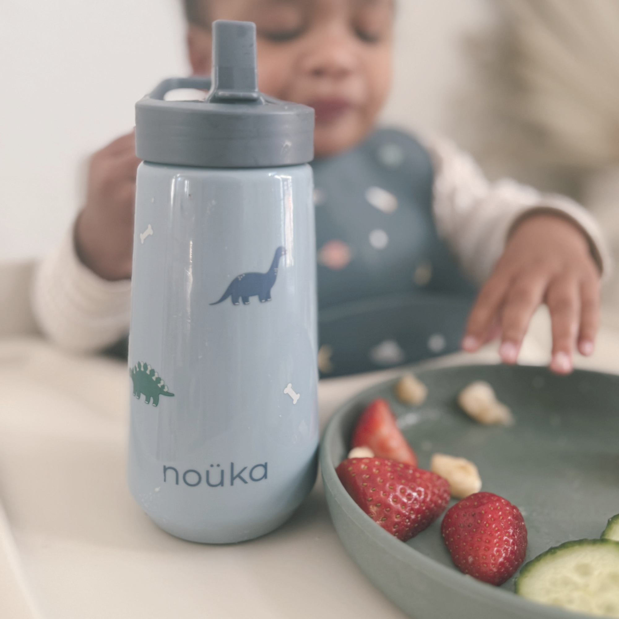 noüka Flip-Top Straw Drinking Bottle 14 Oz Henry Collection - Dino (Sold in Case of 2, Qty of 1=2 products)