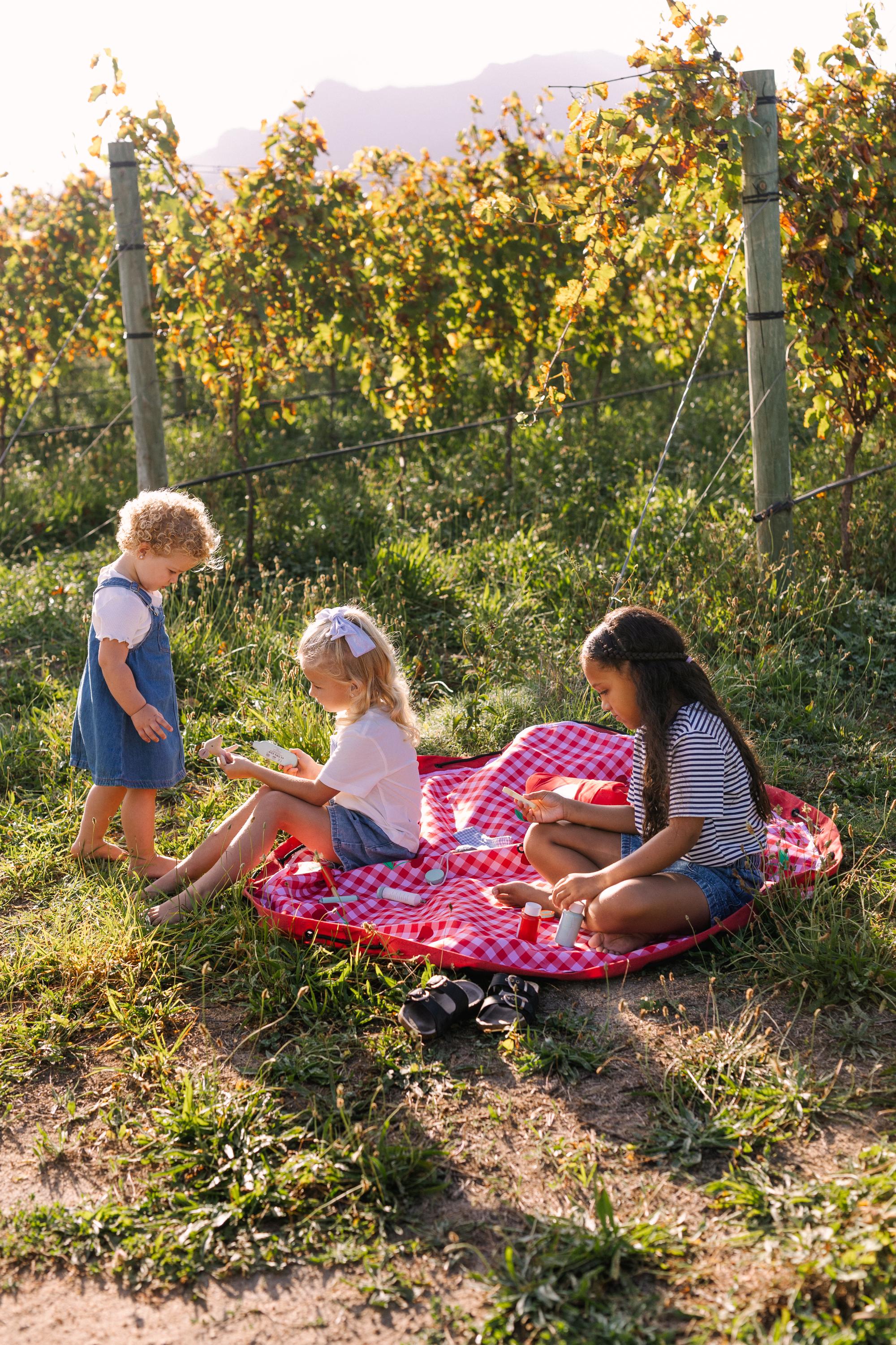 Play&amp;Go noomad Outdoor Playmat &amp; Toy Bag - Pic Nic (Min of 1, multiples of 1)